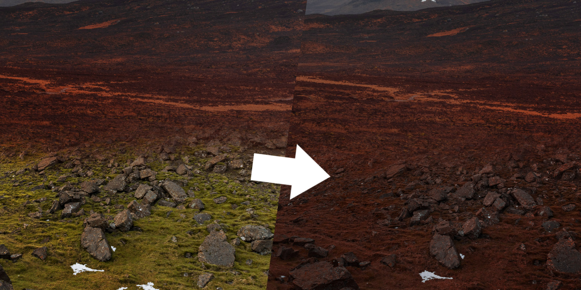 Quick tips: Photoshop color match (Legacy) | SOA Academy